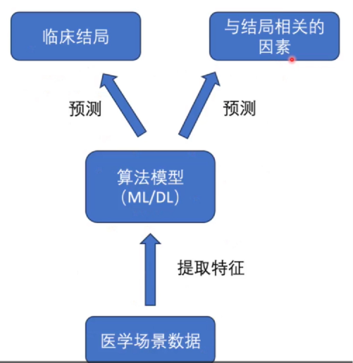 img-6.png